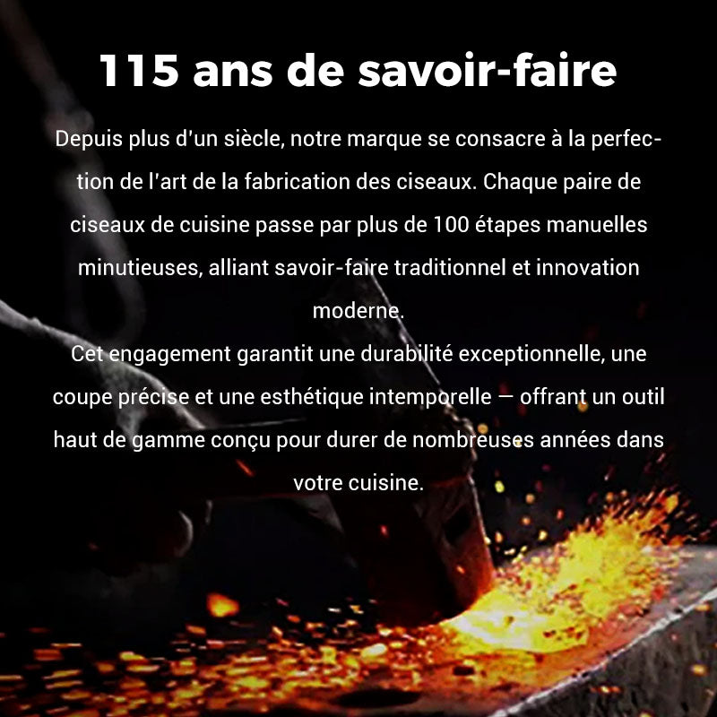 Ciseaux de Cuisine Ultra-Résistants