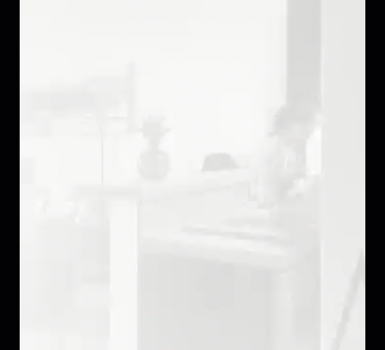 Gants Anti-Coupure Acier Inox